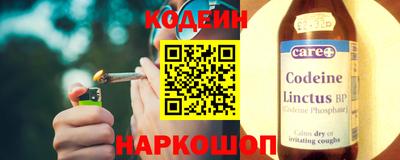 индика Шелехов