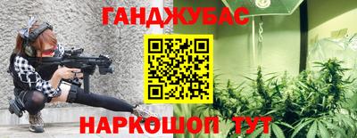индика Шелехов