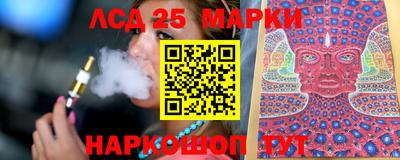 индика Шелехов