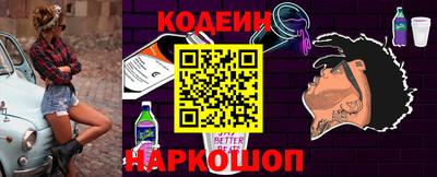 индика Шелехов