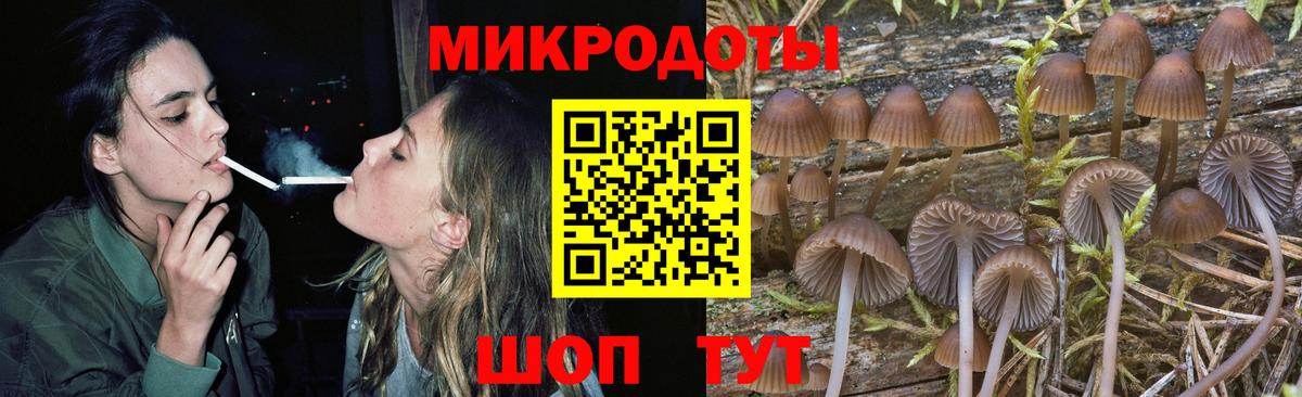 Выкса  Галлюциногенные грибы Psilocybe  Вход с VPN 